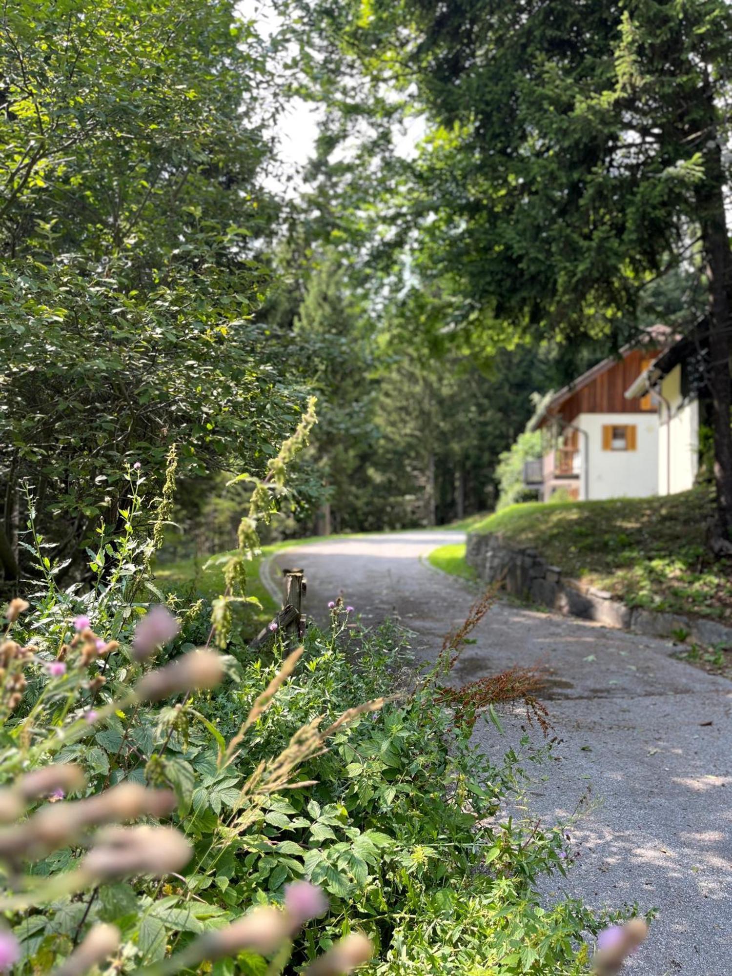 Chalet Harmony Rogla - Apartment Zreče Εξωτερικό φωτογραφία